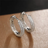 Brinco Classic Silver Hoops